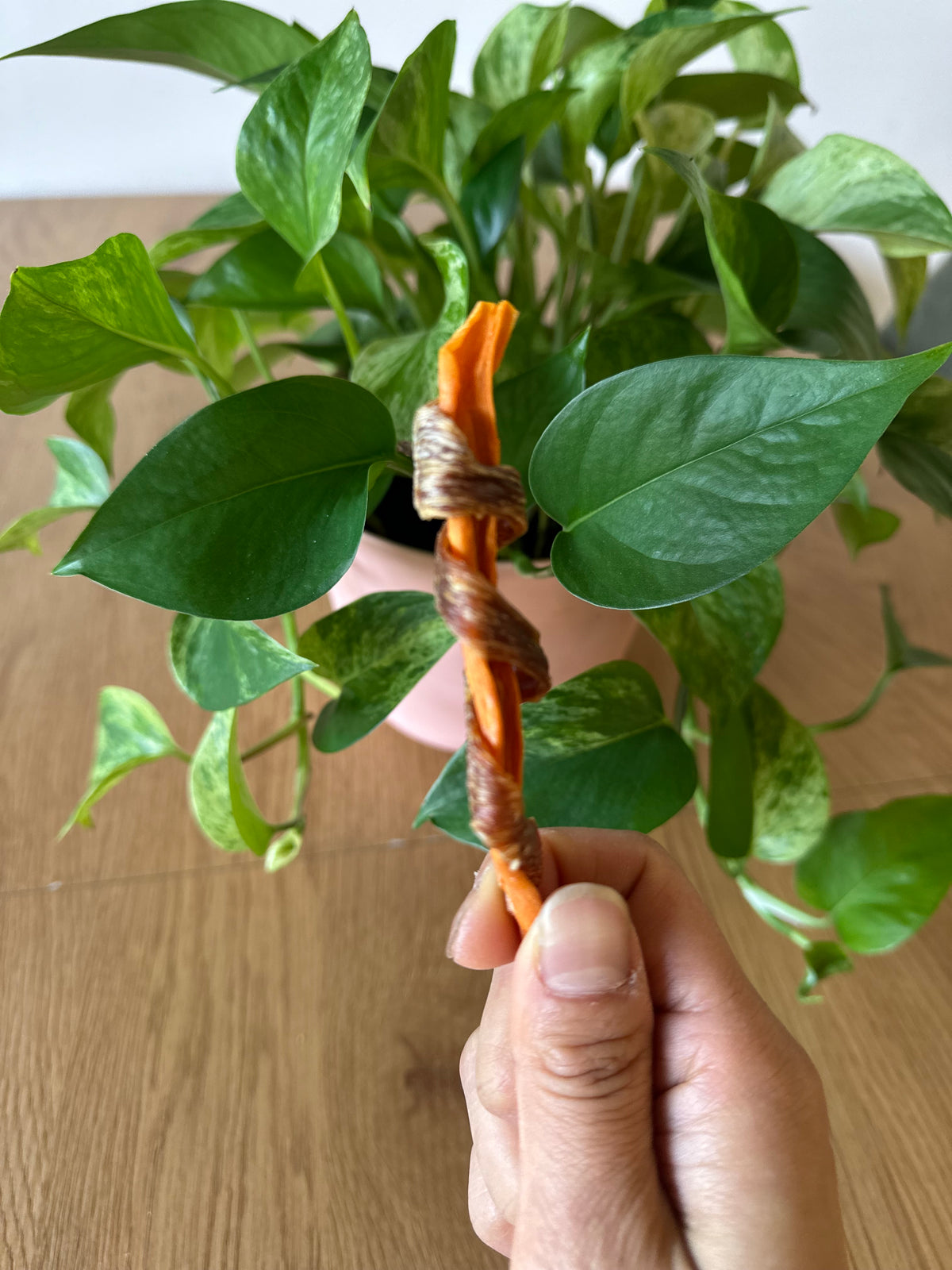 Chicken & Sweet Potato Twists
